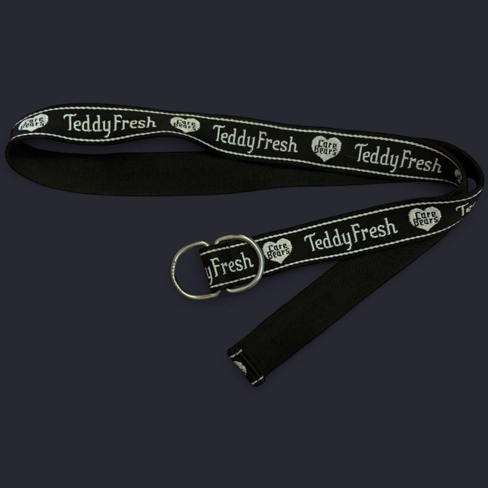 Teddy Fresh x Care Bears Collection (2021) - Canvas Belt - Picture 3 of 5